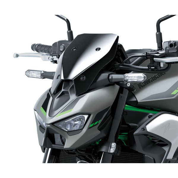 Kawasaki Meter cover - Medium (Smoke)